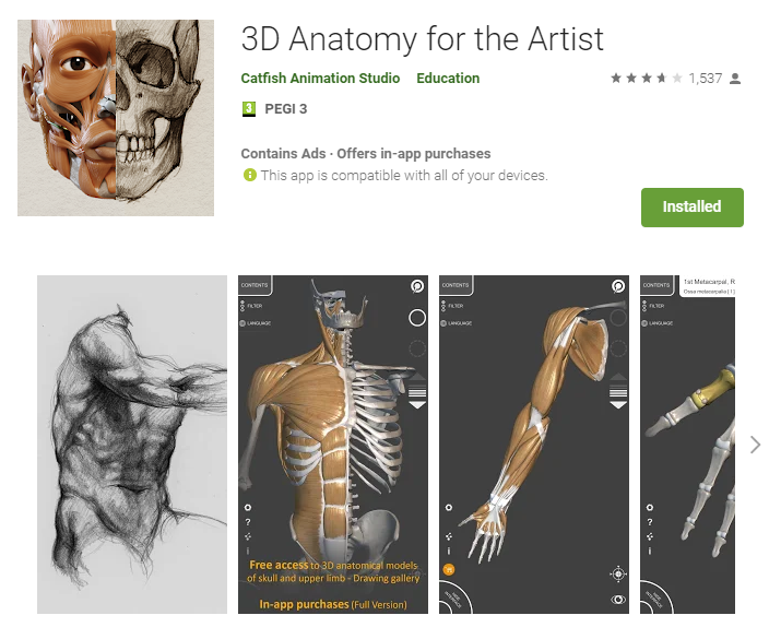 Anatomía 3D para el artista - NTARTE · Nuevas Tecnologías en el Arte