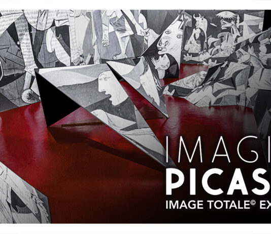 Imagine Picasso